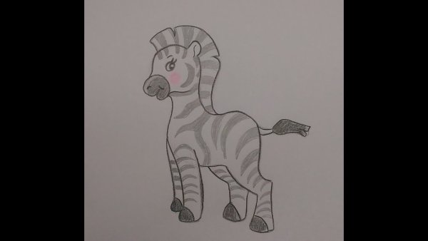 Зебра раскраска для малышей простая