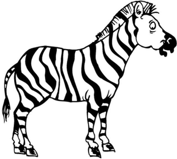Зебра раскраска для детей