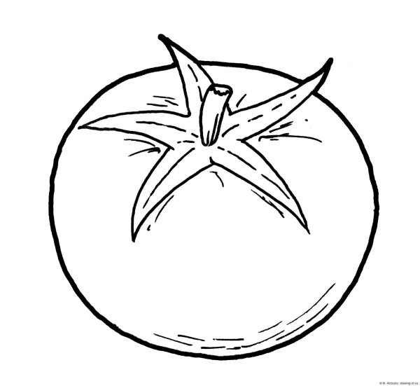 Помидор раскраска