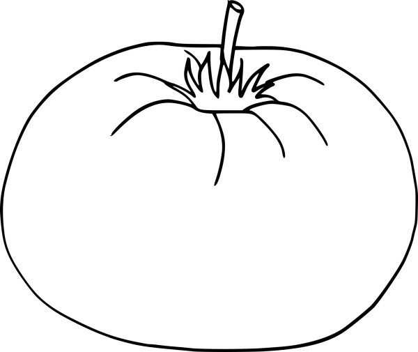Помидор рисунок