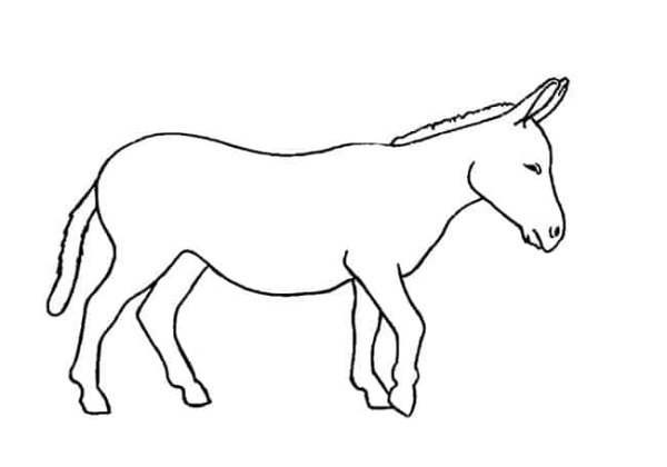 Поэтапное рисование осла
