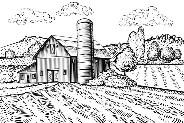 Сельское хозяйство карандашом