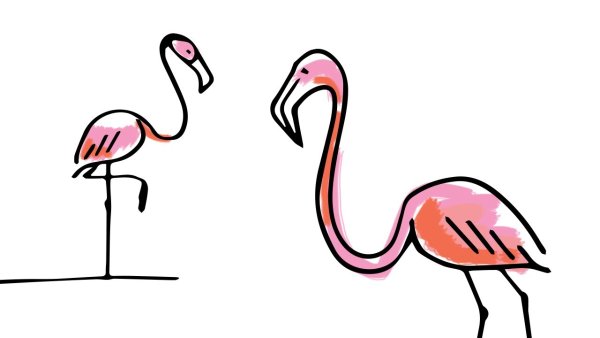 Фламинго рисунок простой