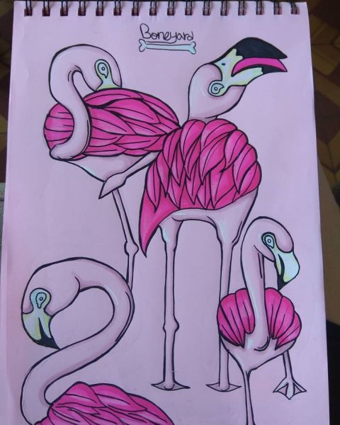 Поэтапное рисование Фламинго для детей