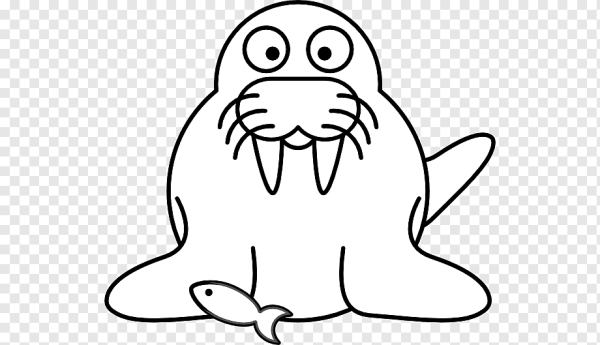 Тюлень раскраска для детей