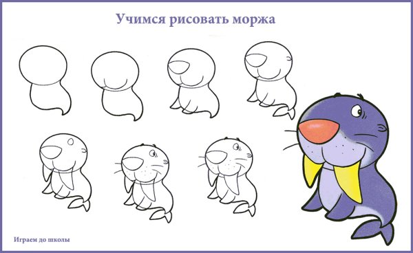 Поэтапное рисование моржа для детей