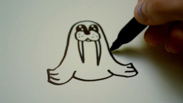 Поэтапное рисование моржа