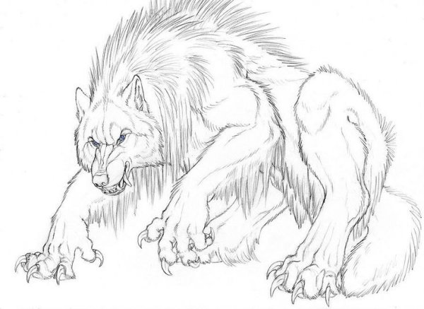 Раскраска волк оборотень