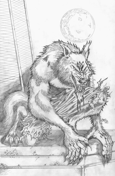 Волк набросок