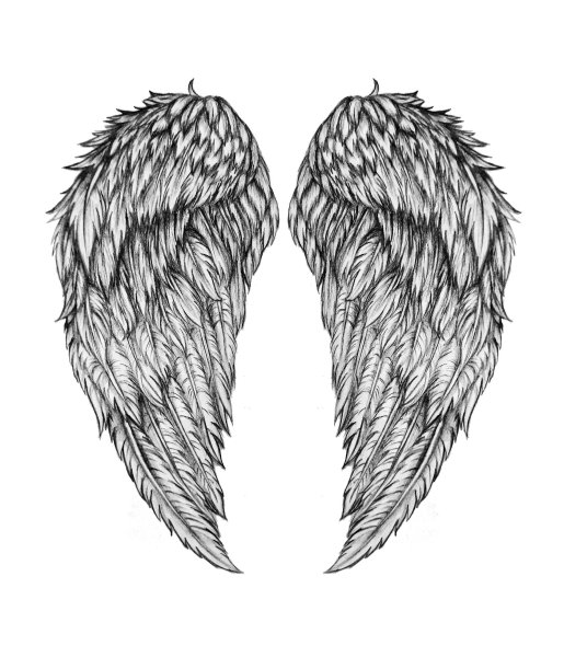 Крылья раскраска