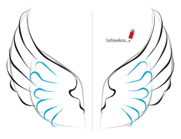 Поэтапное рисование крыльев