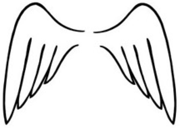 Крылья нарисованные