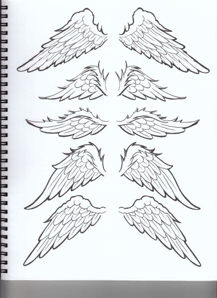 Крылья ангела тату эскиз