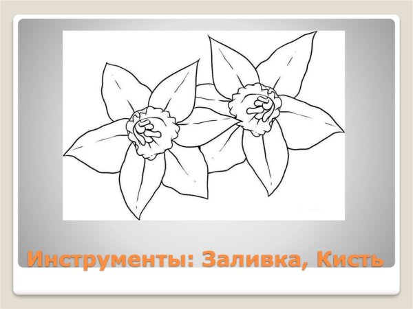 Наброски цветов карандашом