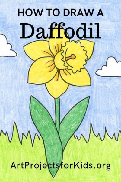 Нарцисс раскраска для детей