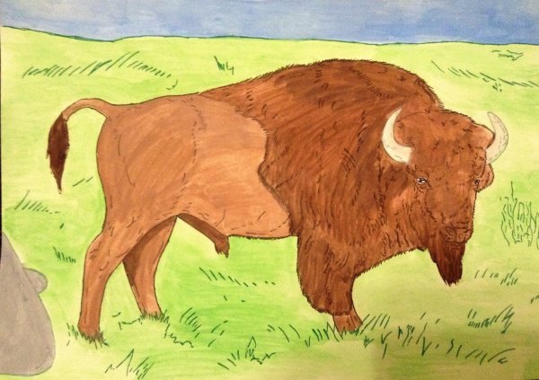 ЗУБР контур