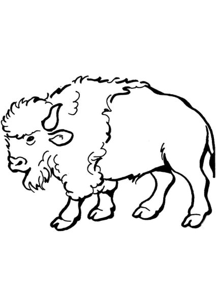 ЗУБР раскраска