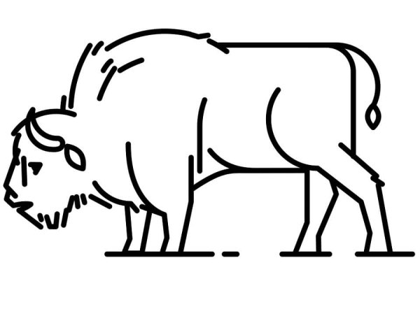 ЗУБР поэтапное рисование для детей