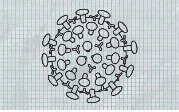 Вирус табачной мозаики и бактериофаг