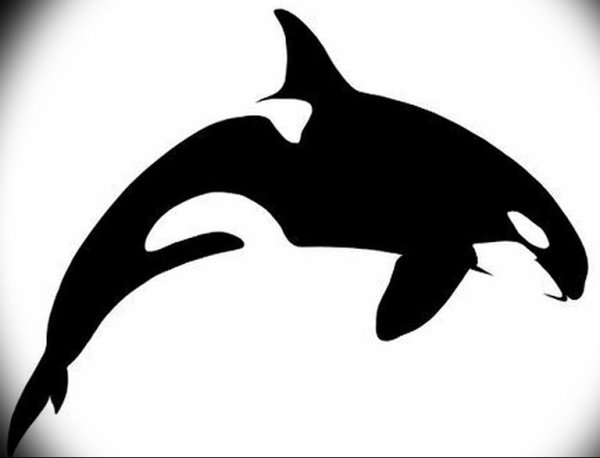 Наклейка Касатка