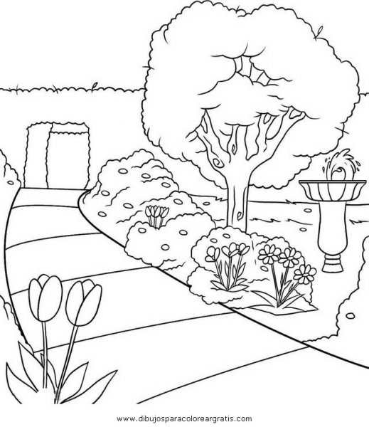 Нарисовать сад карандашом