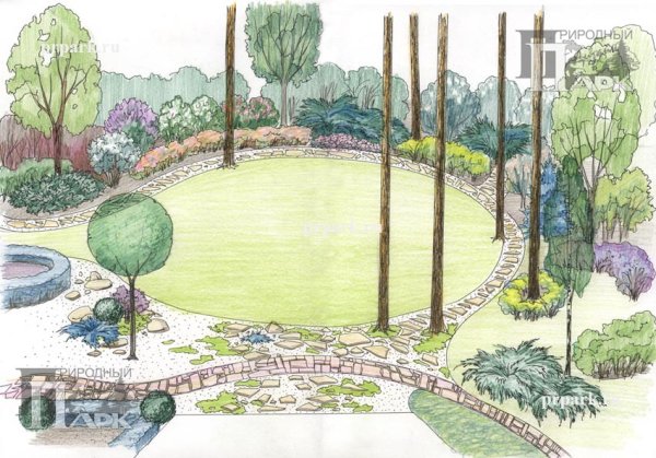 Организация архитектурно-ландшафтного пространства