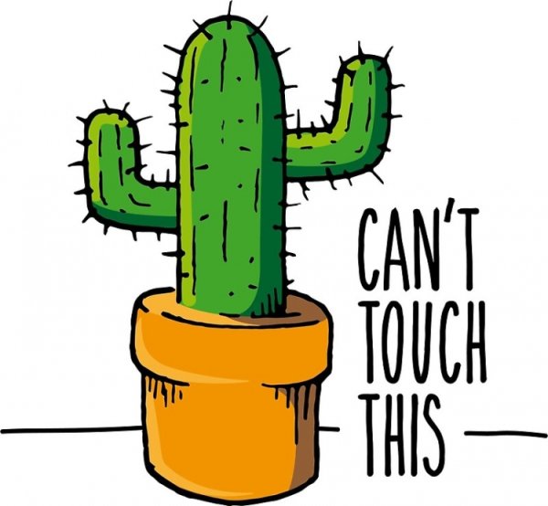 Кактус рисунок легкий