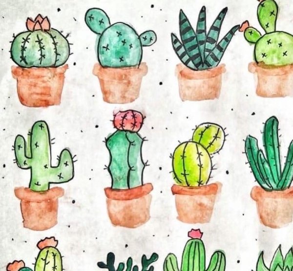Кактус рисунок карандашом для детей