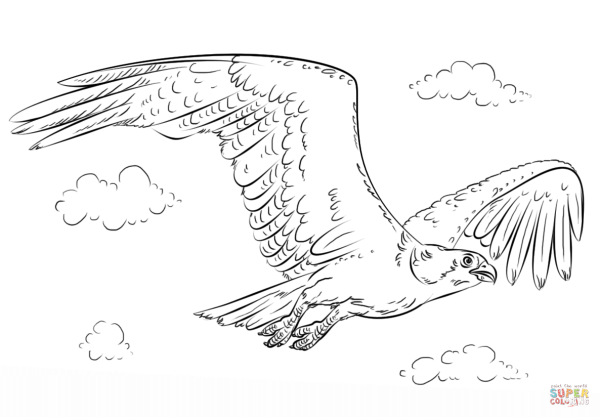 Орел в полете карандашом