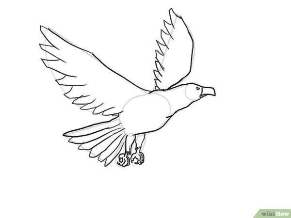 Орел раскраска для детей