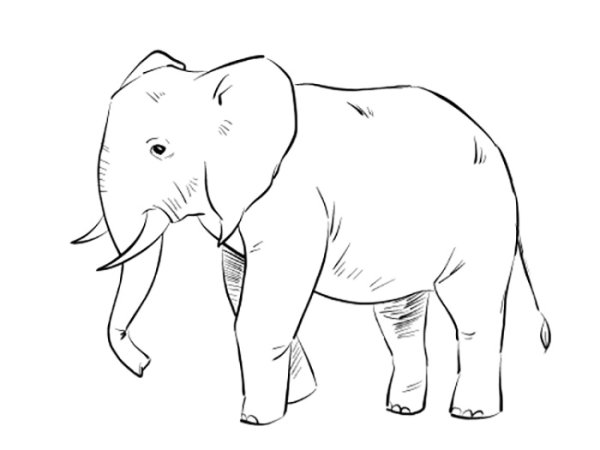 Нарисовать слона