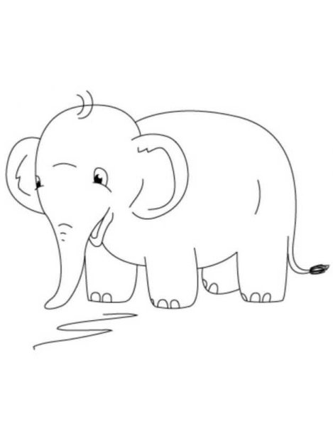 Слон рисунок легкий