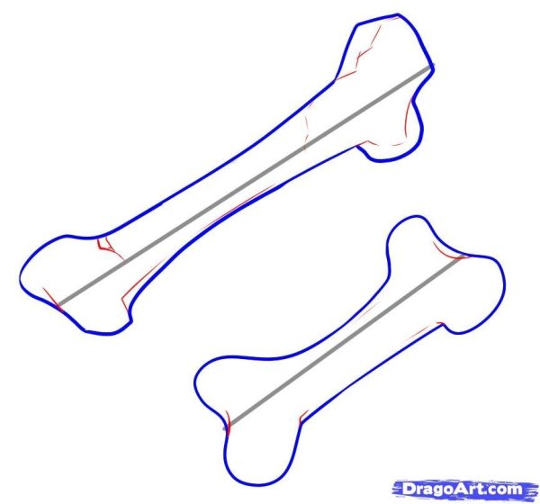 Кость карандашом