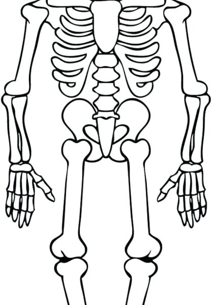 Кости Кощея Бессмертного