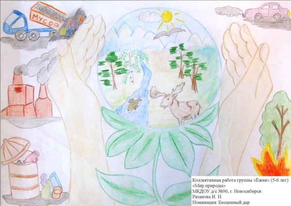 Рисунок по экологии