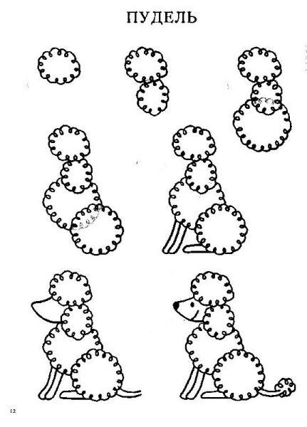 Рисование животных для детей 6-7