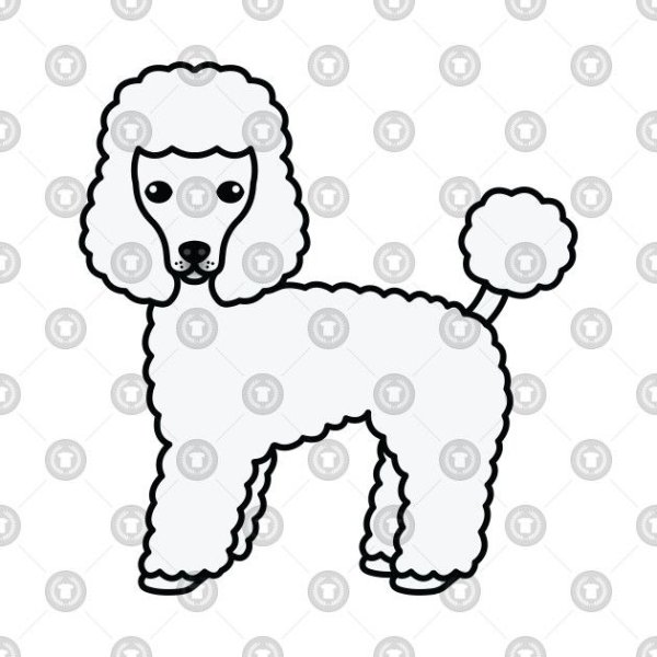 Раскраска собачка пудель