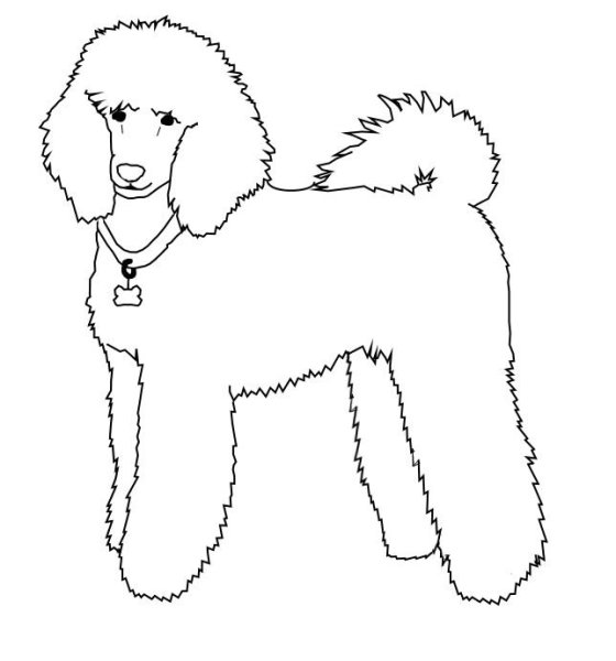 Белый пудель Куприн раскраска