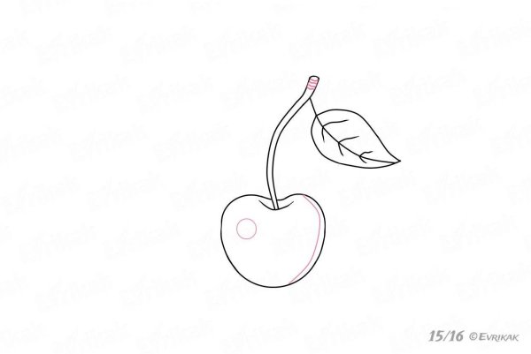 Вишня для срисовки