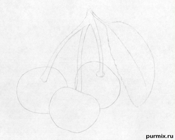 Поэтапное рисование вишни