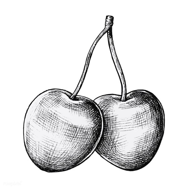 Вишня карандашом