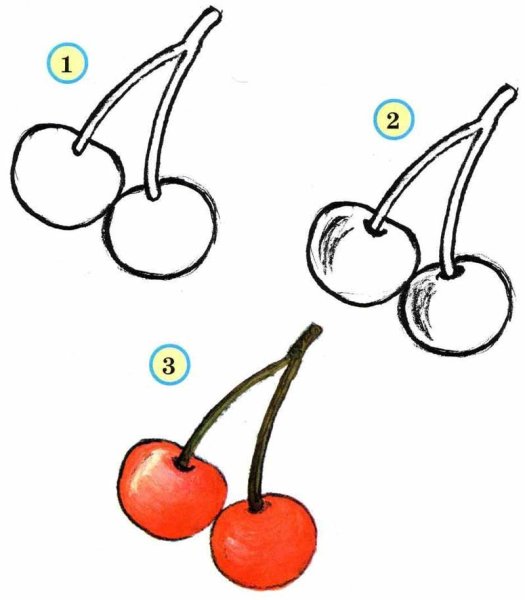 Вишня схематично