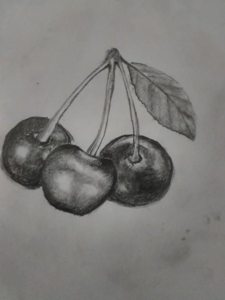 Вишня раскраска для детей