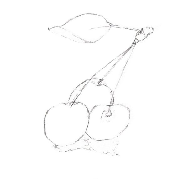 Вишня рисунок