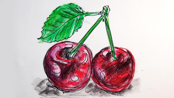 Вишня карандашом