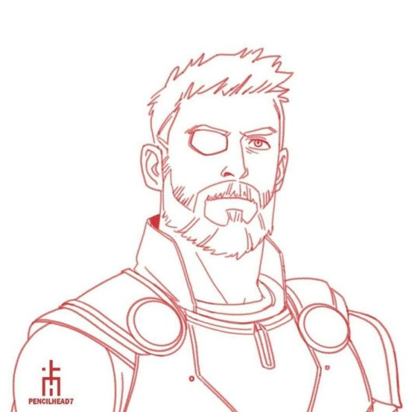 Тор рисунок