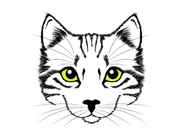 Нарисовать мордочку кота