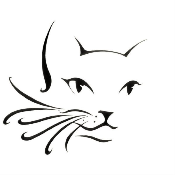 Мордочка кота Графика