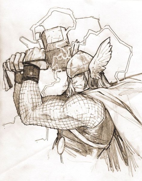 Тор Графика