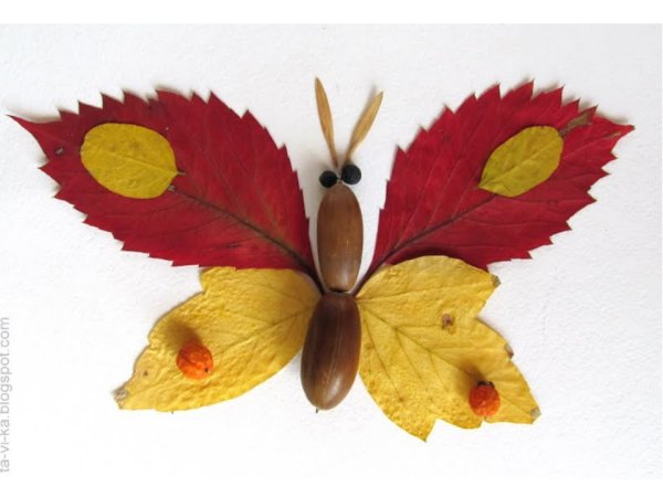 Осенний гербарий для детского сада